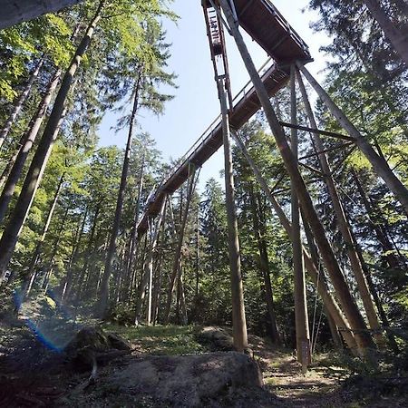 Cozy I Blockhuette Im Nationalpark I Ferienwohnung Neureichenau Dış mekan fotoğraf
