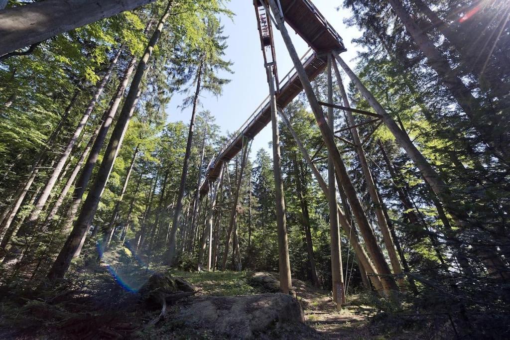 Cozy I Blockhuette Im Nationalpark I Ferienwohnung Neureichenau Dış mekan fotoğraf