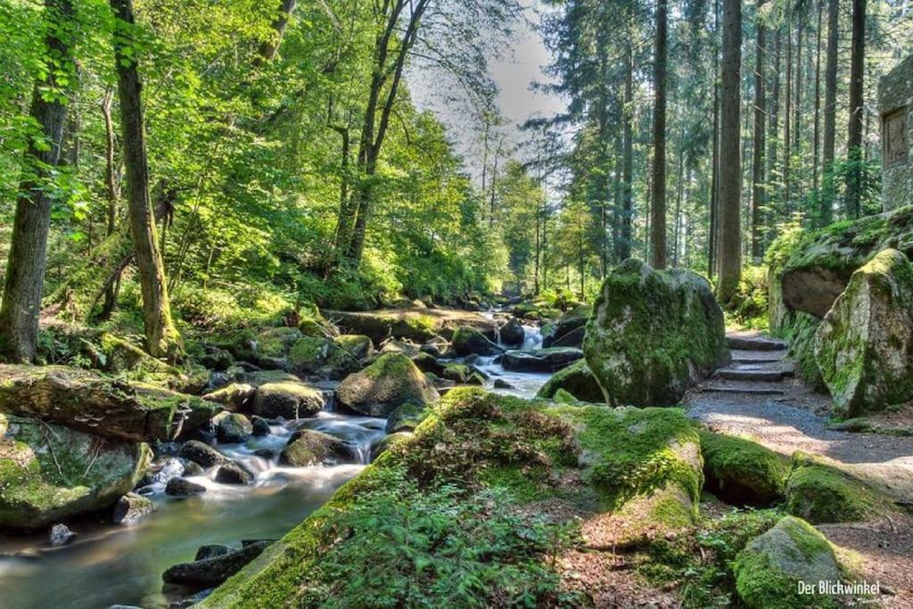 Cozy I Blockhuette Im Nationalpark I Ferienwohnung Neureichenau Dış mekan fotoğraf