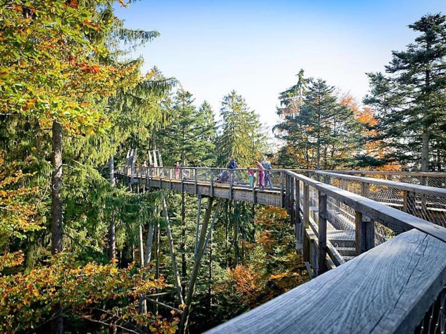 Cozy I Blockhuette Im Nationalpark I Ferienwohnung Neureichenau Dış mekan fotoğraf